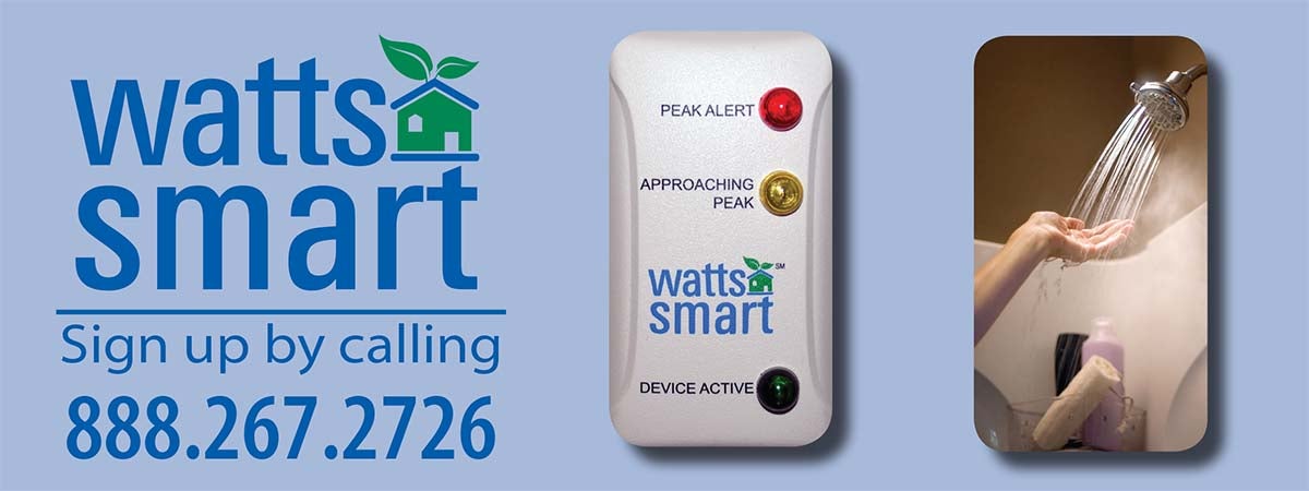 Watts Smart Promo 2016.jpg